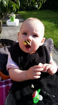 Bee-Patch -Promos Camping Boutique anti venin guepes abeilles frelon bourdon beepatch