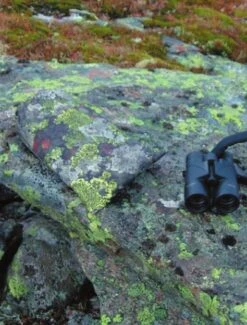 Jerven Fjellduken Hunter -Promos Camping Boutique jervenbag hunter montain