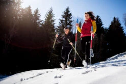 Les Bâtons D’Alain -Promos Camping Boutique les batons d alain 06