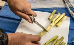 Leatherman Curl -Promos Camping Boutique multi outil pince multifonction leatherman curl 03 1