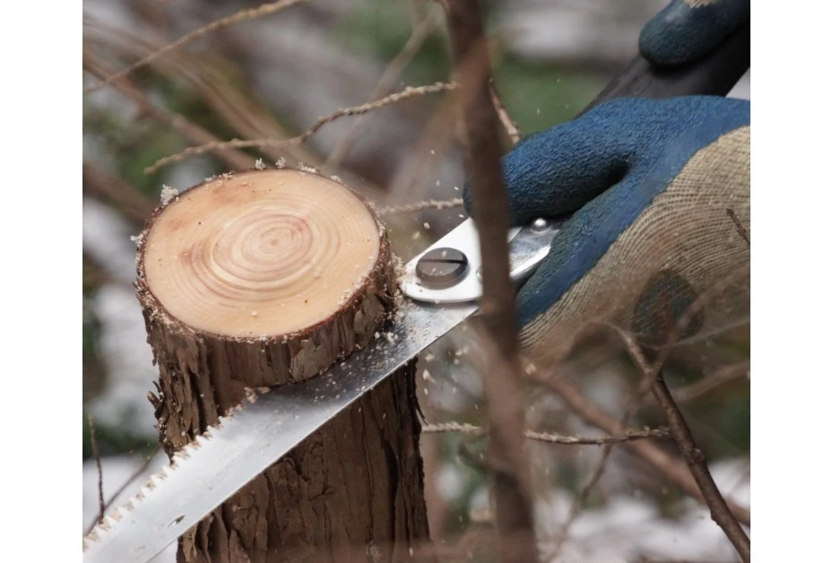 Silky Gomboy 210-10 8 Silky Gomboy 210-10 – Image 6